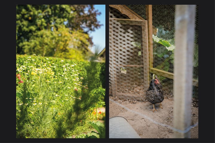 Foto 40 van Achterweg 7