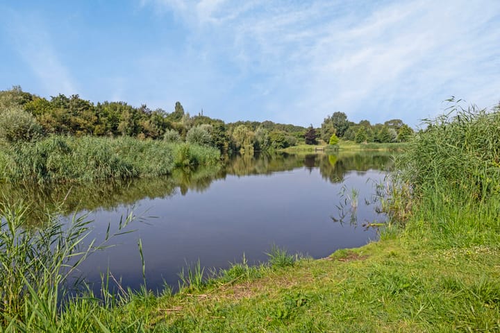 Foto 33 van Boekweit 28-A