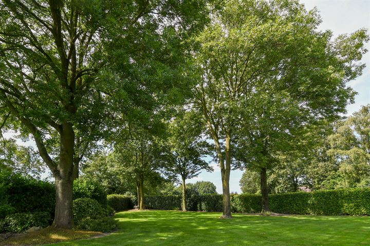 Bekijk foto 34 van Vrijkebomenweg 2