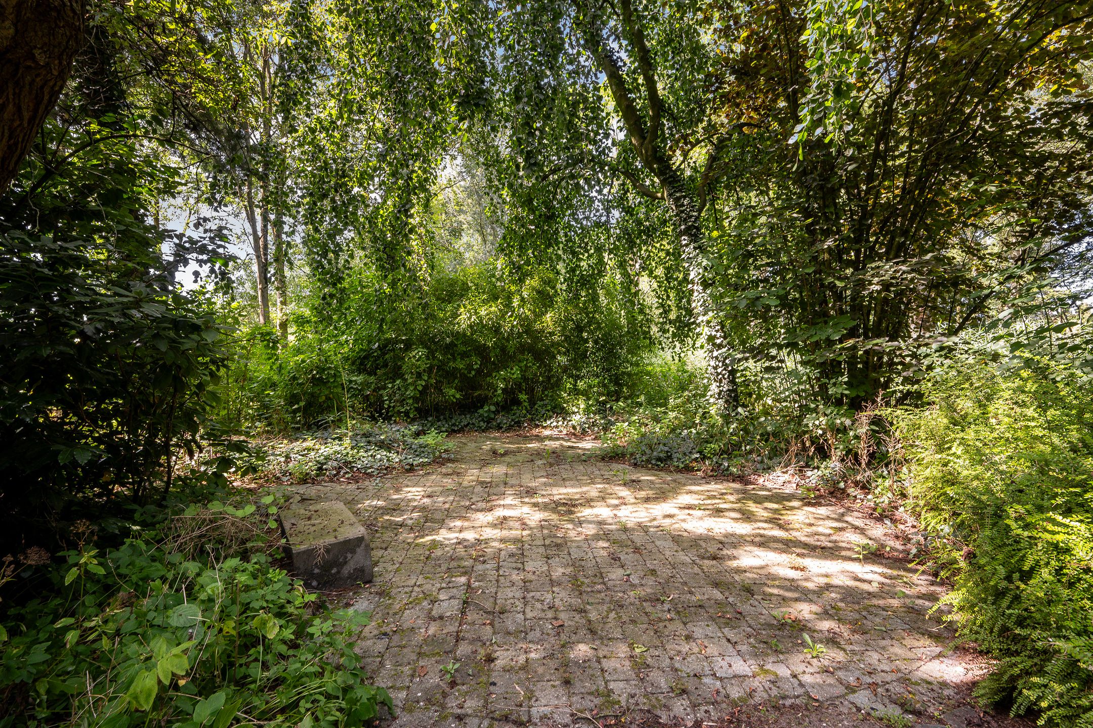 Foto 48 van 's-Gravenweg 171