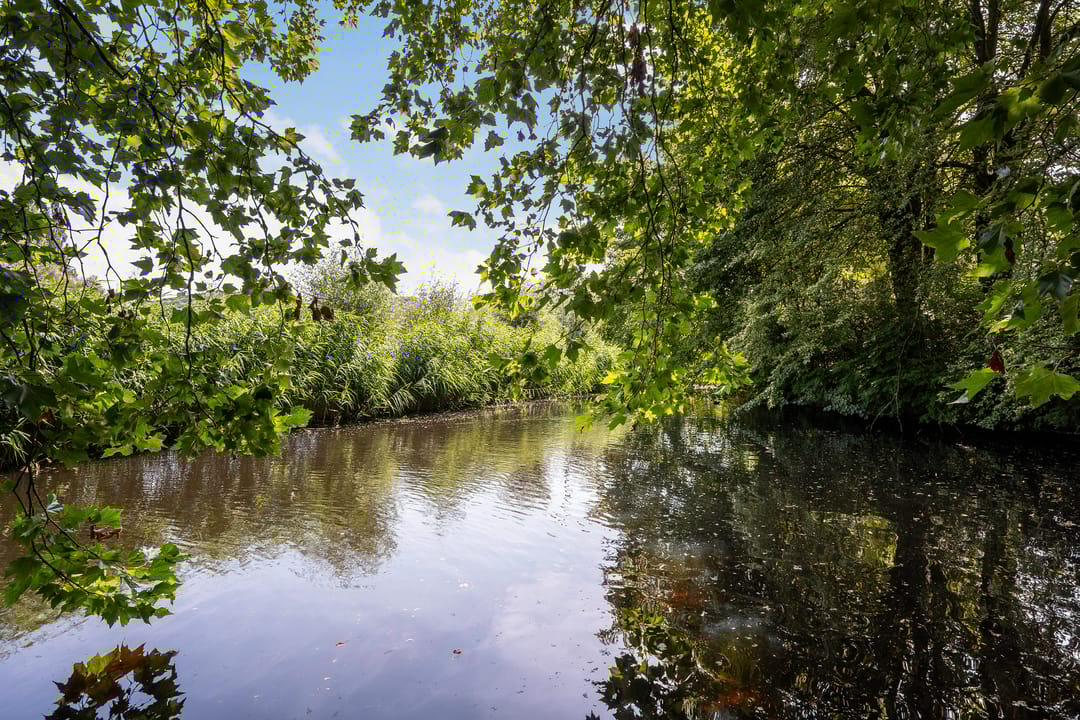 Foto 53 van 's-Gravenweg 171