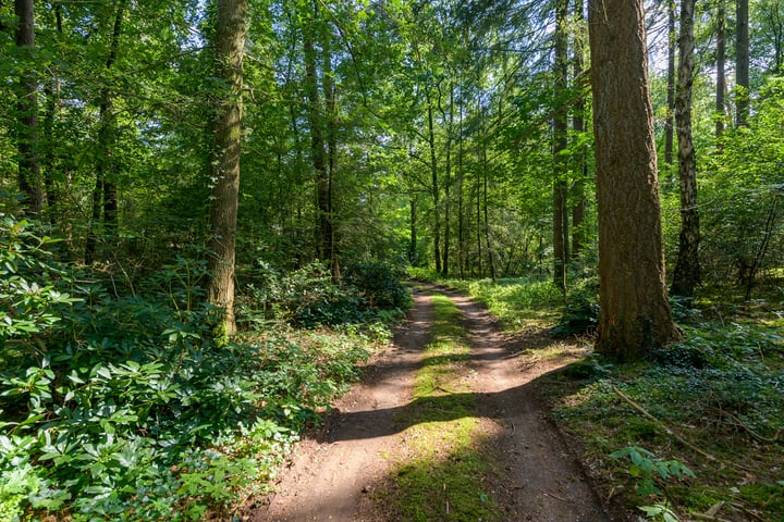 Bekijk foto 4 van Hulhorstweg 50