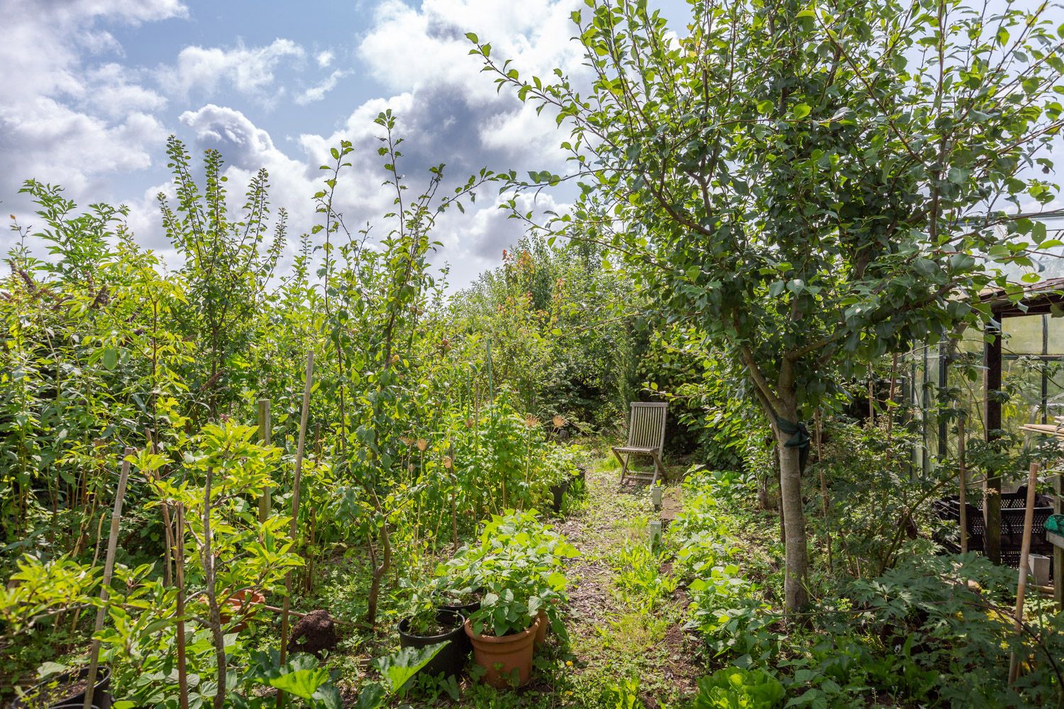 Photo 21 of Terpweg 23-A