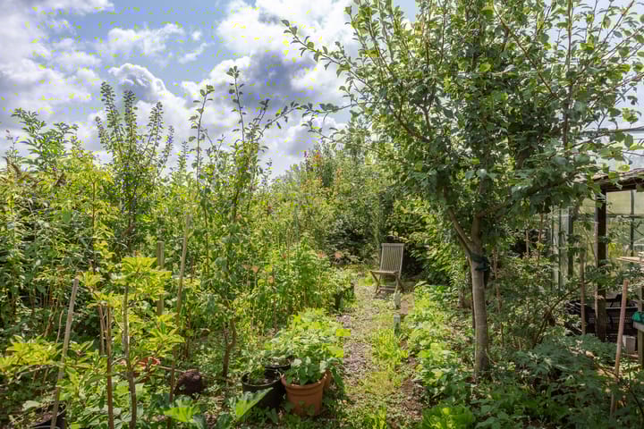 Foto 21 van Terpweg 23-A