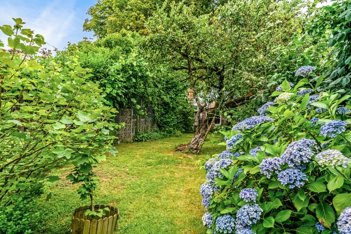 Photo 12 of Caumerbeeklaan 15