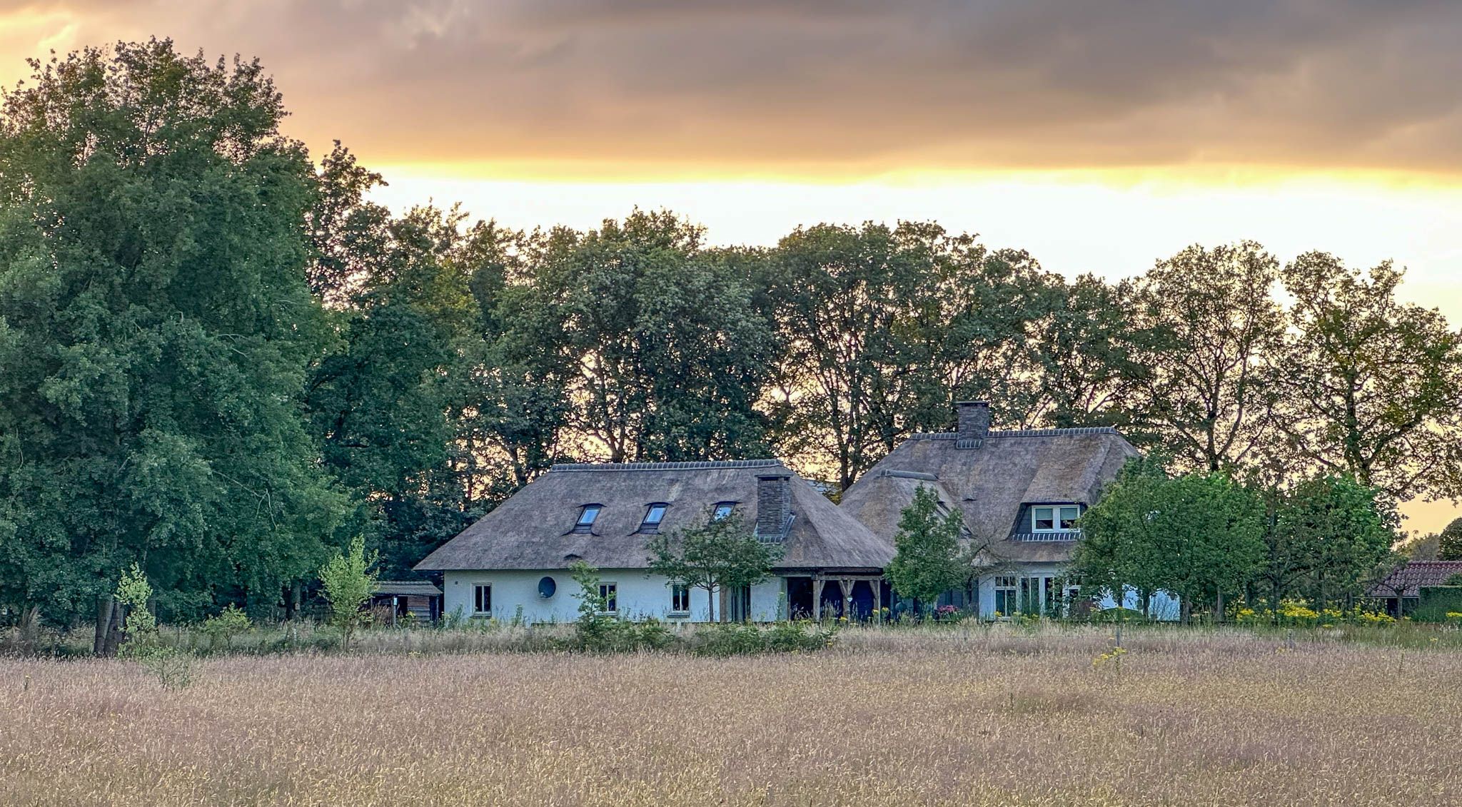 Foto 135 van Milschot 50