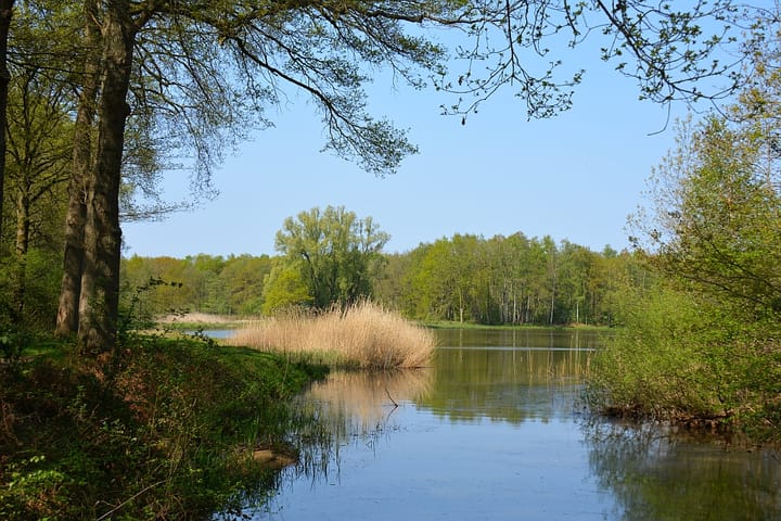 Foto 32 van Rijkesluisstraat 6-A