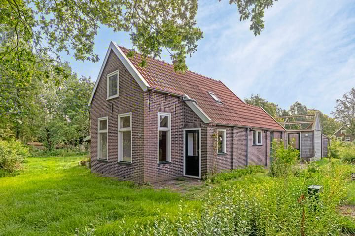 undefined main image