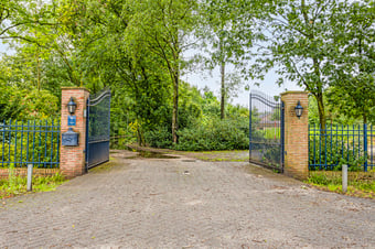 Dennenmark 9 tertiary image