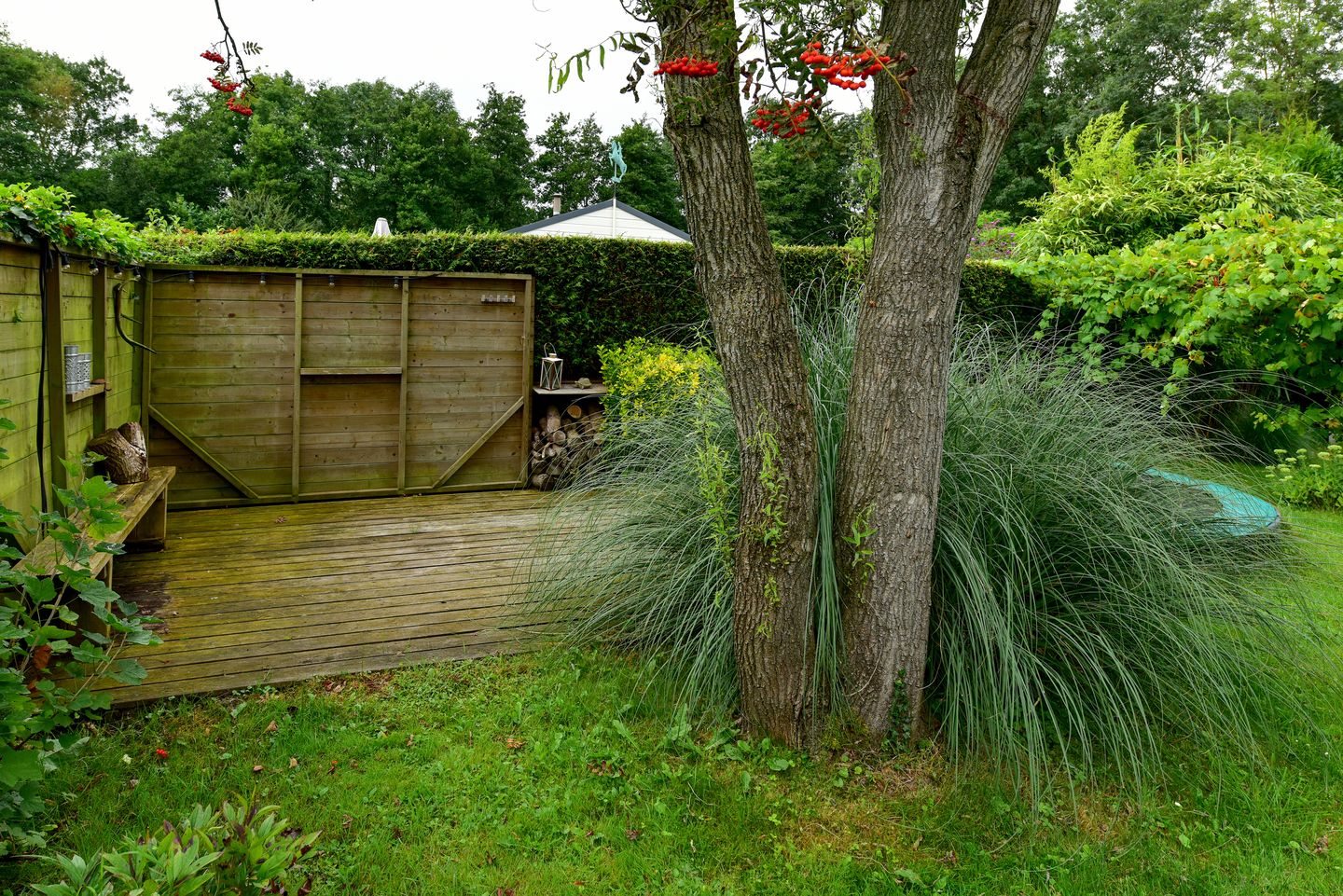 Foto 25 van Eilandseweg 32-C110