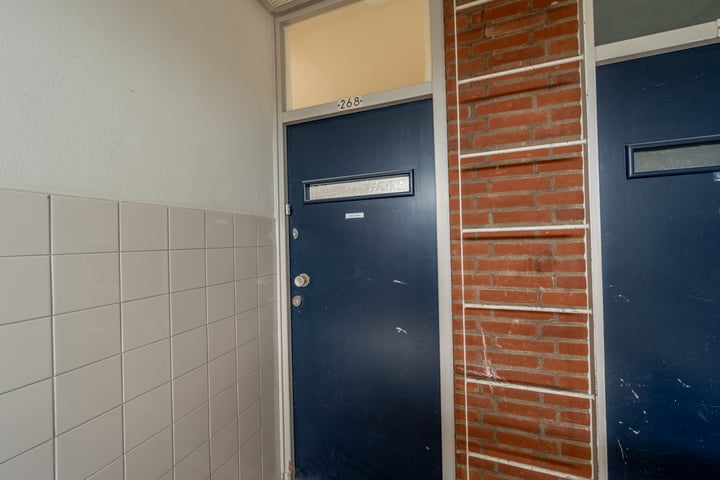 Bekijk foto 10 van Ruigoord 268