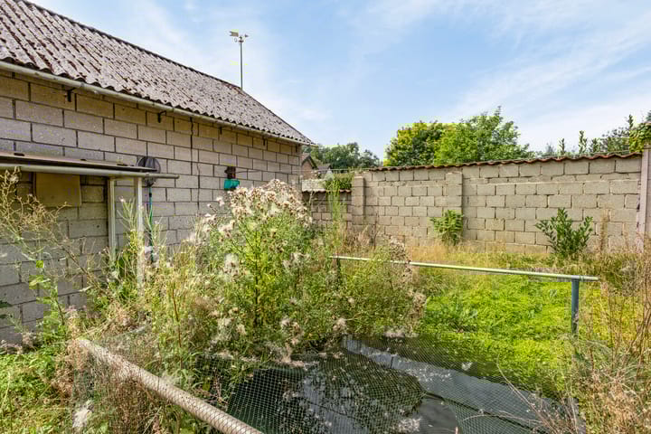 Foto 33 van Grijzegrubben 44