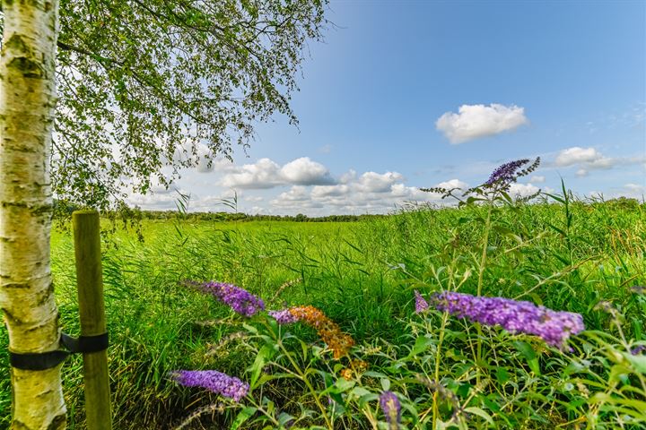 Bekijk foto 47 van Hoogeweg 25