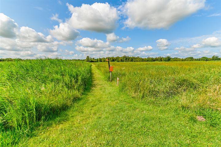 Bekijk foto 60 van Hoogeweg 25