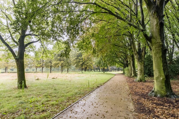 Bekijk foto 33 van Rodenburgweg 48