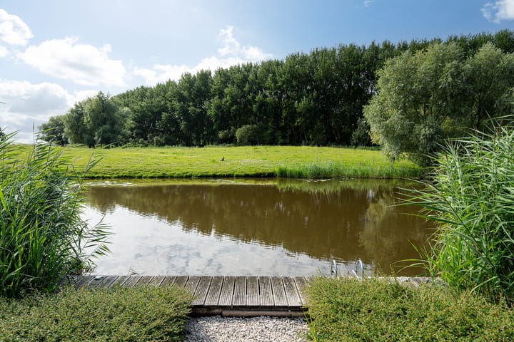 Foto 25 van De Terp 29