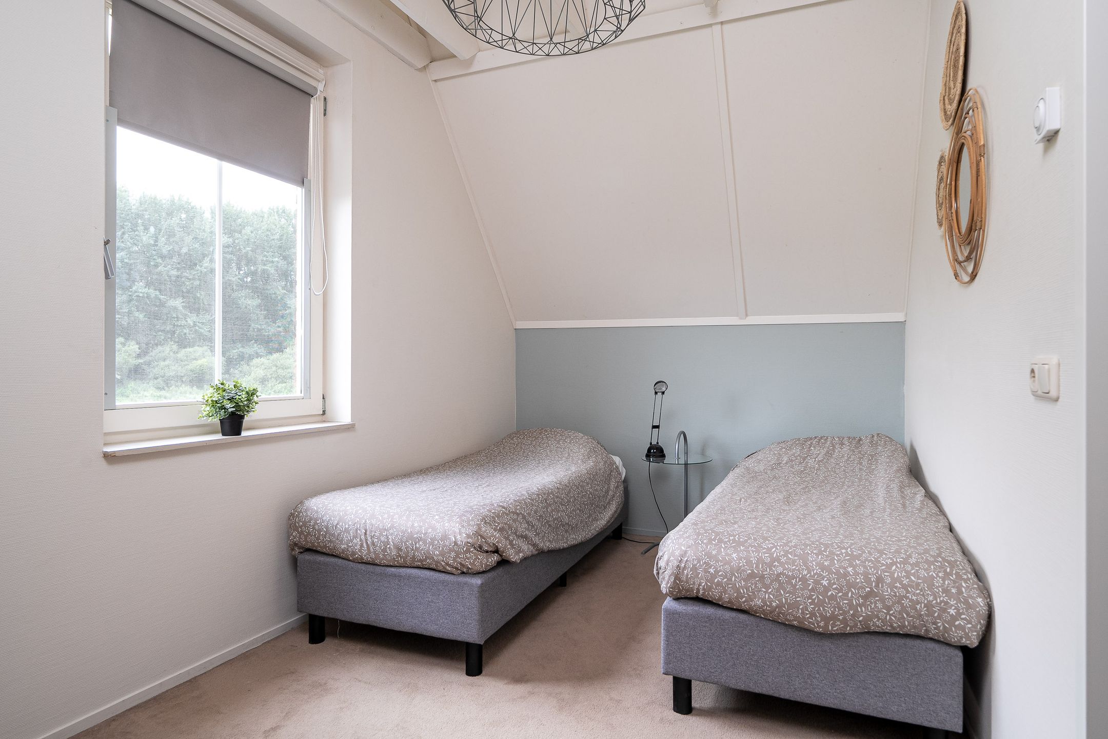 Foto 36 van De Terp 29