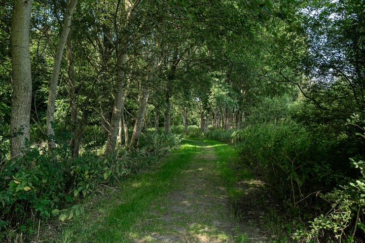 Foto 42 van De Terp 29