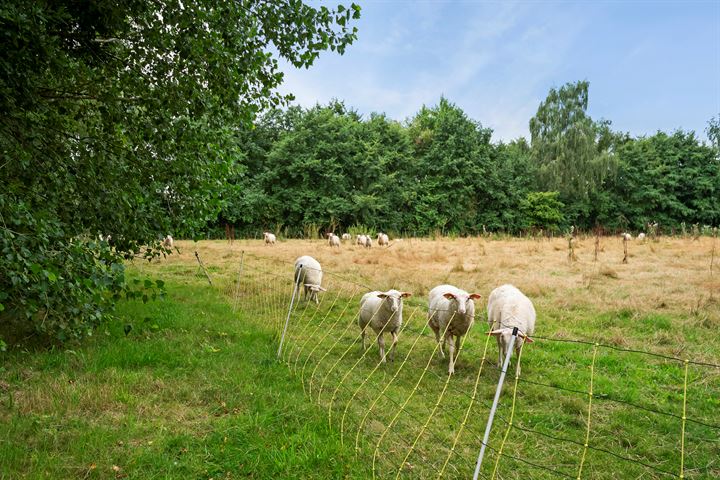 Bekijk foto 46 van Stichtingstraat 34