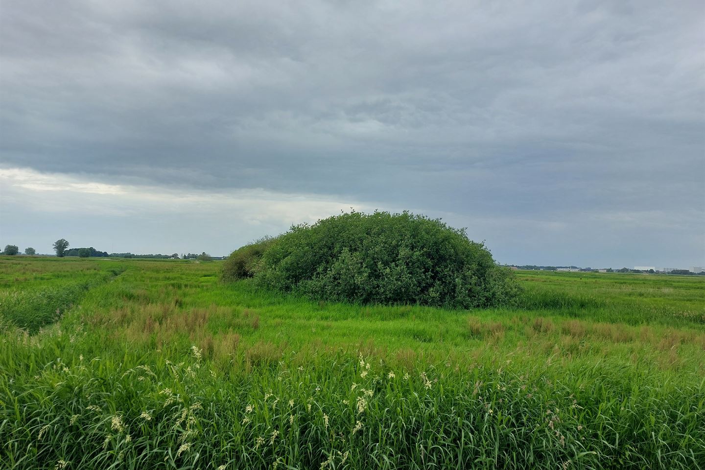 View photo 4 of Sluizerdijk