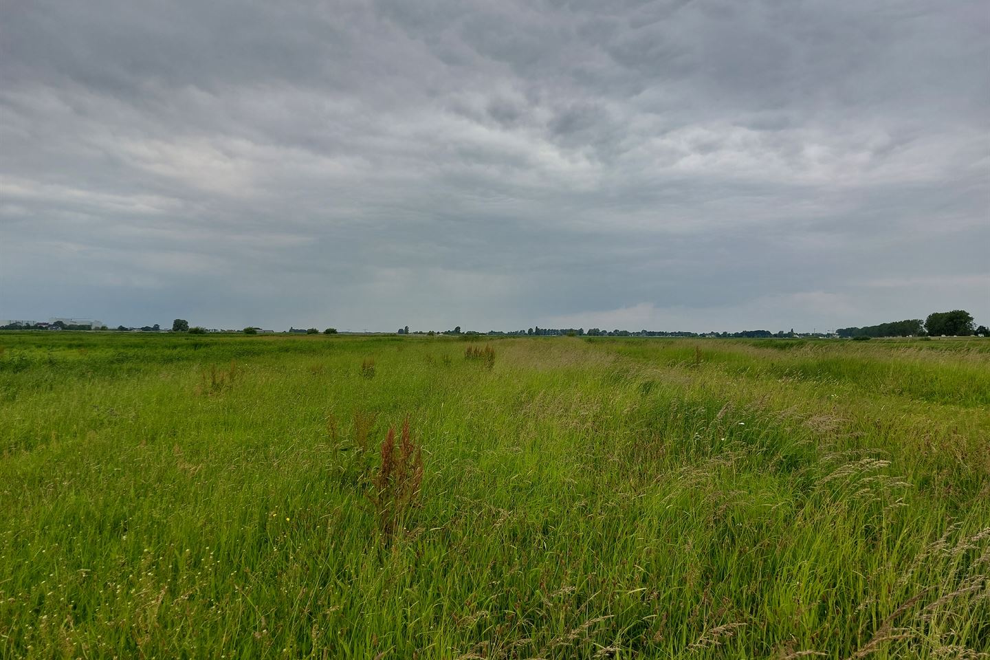 View photo 1 of Sluizerdijk