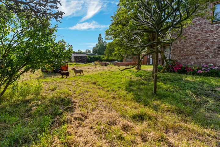 Bekijk foto 44 van Nederheidseweg 187