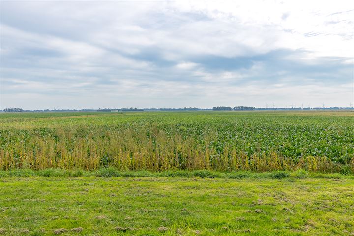 Bekijk foto 45 van Zuiderdiep 304