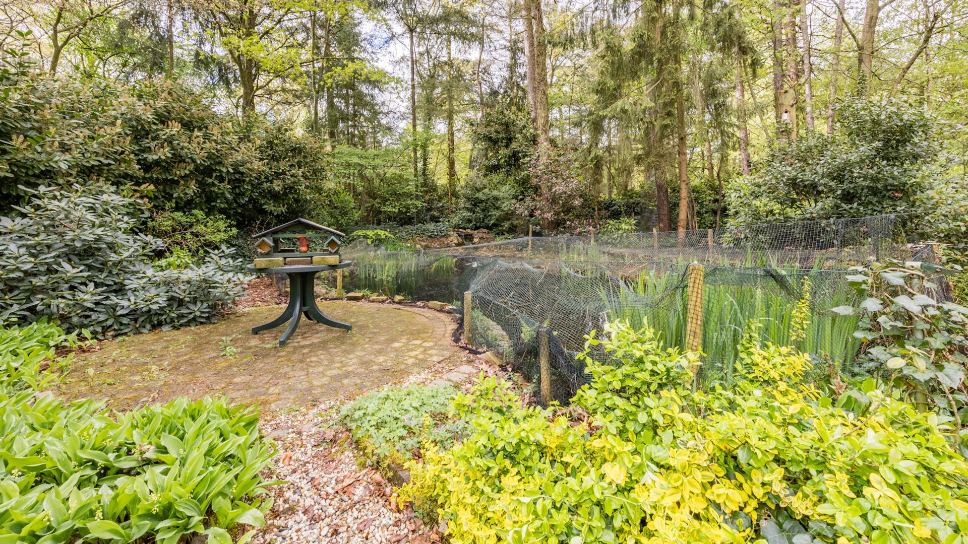 Foto 66 van Arubaweg 14