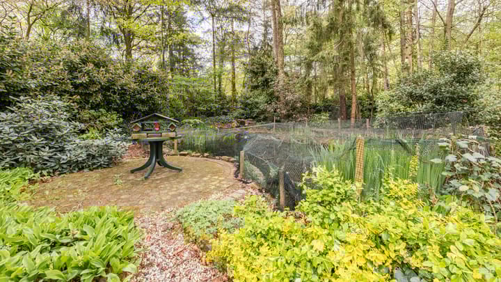 Foto 66 van Arubaweg 14