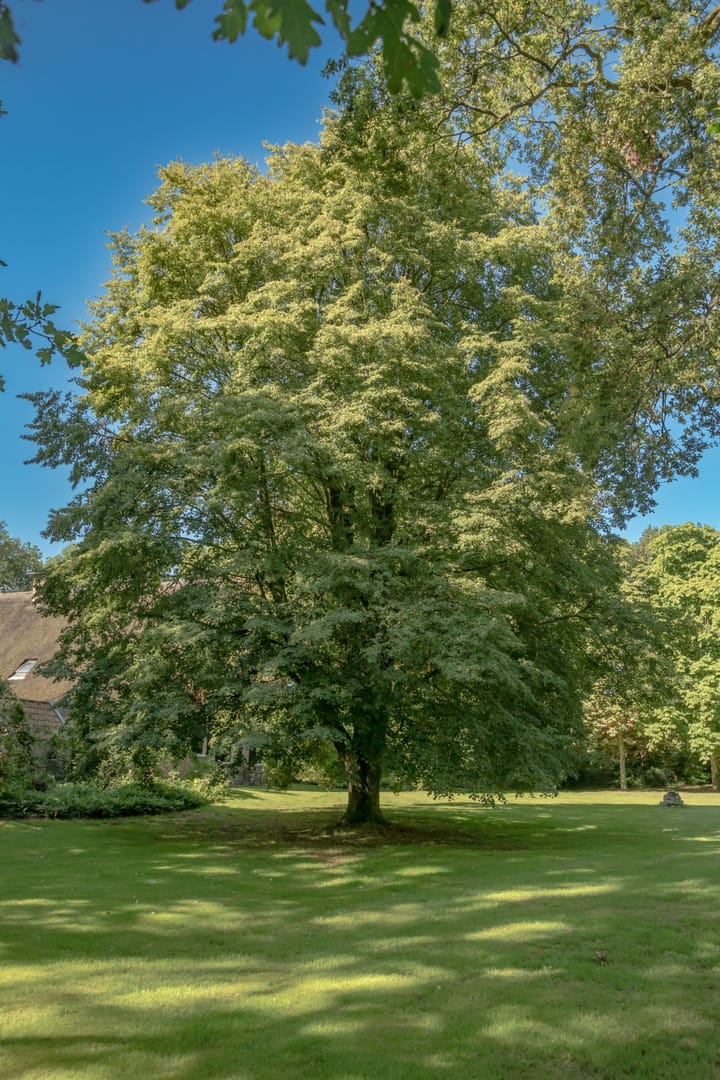 Photo 15 of Oosteinde 18