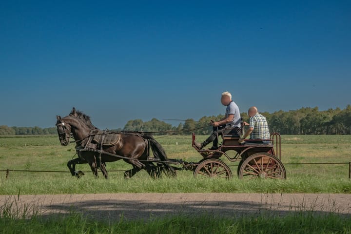 Photo 16 of Oosteinde 18