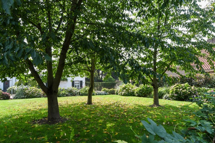 Foto 8 van Groenstraat