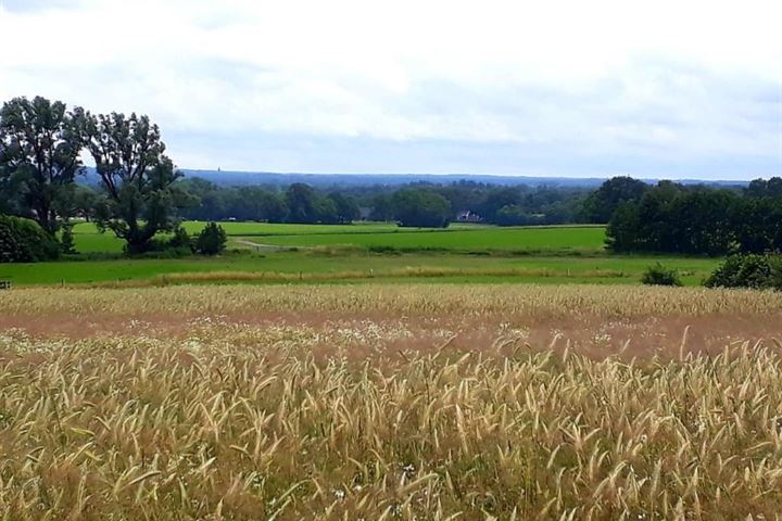 Bekijk foto 16 van Wittebergweg 18-C43