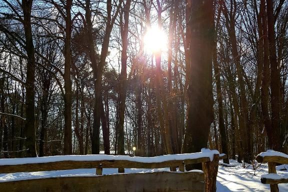 Bekijk foto 19 van Wittebergweg 18-C43