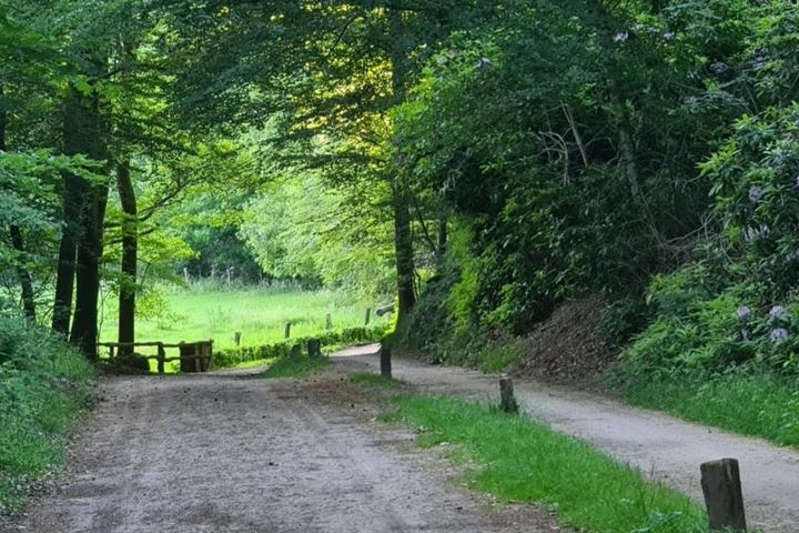 Bekijk foto 20 van Wittebergweg 18-C43