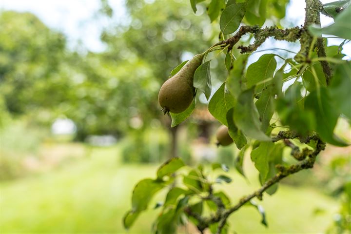 Bekijk foto 21 van Wollinghuizerweg 23