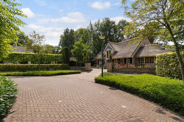 Photo 1 of Lijsterbeslaan 6