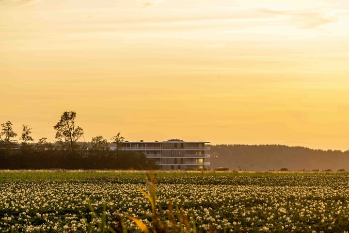 Photo 36 of Lamsoor 45