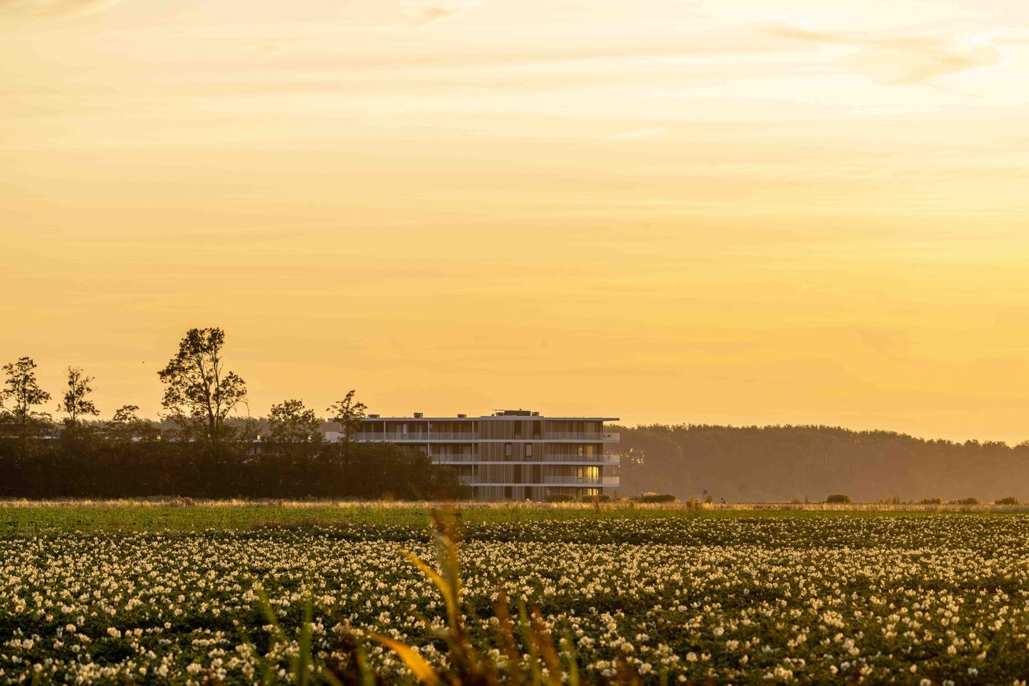 Foto 35 van Lamsoor 91