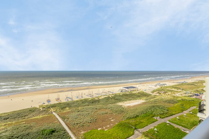 Photo 6 of Duindistel 88