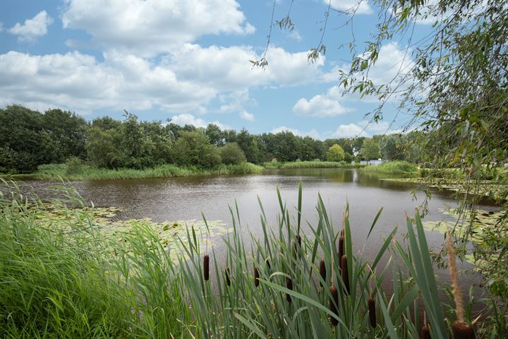 Bekijk foto 10 van Weteringallee 17