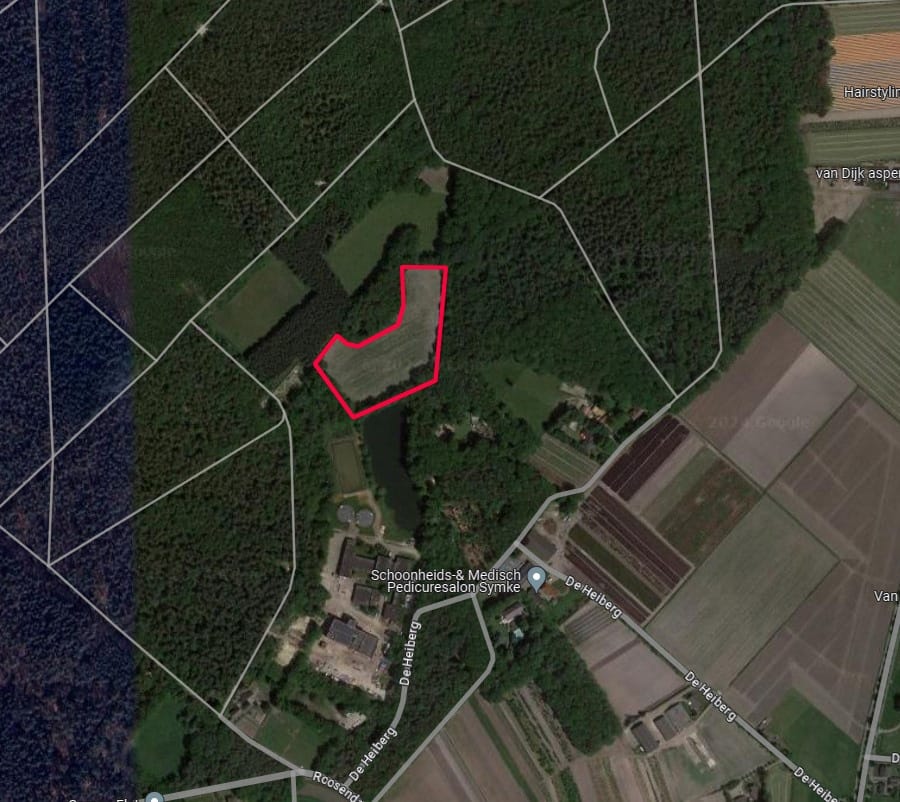 de Heiberg - Schijf - Afbeelding 1