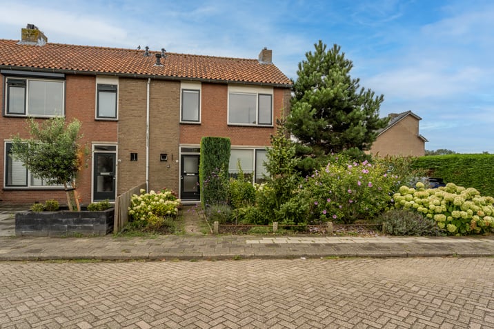 undefined main image