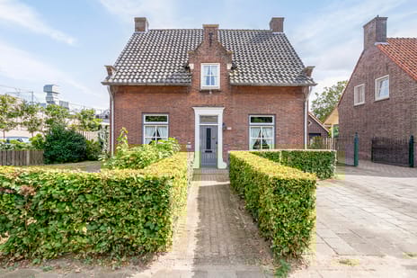 undefined main image