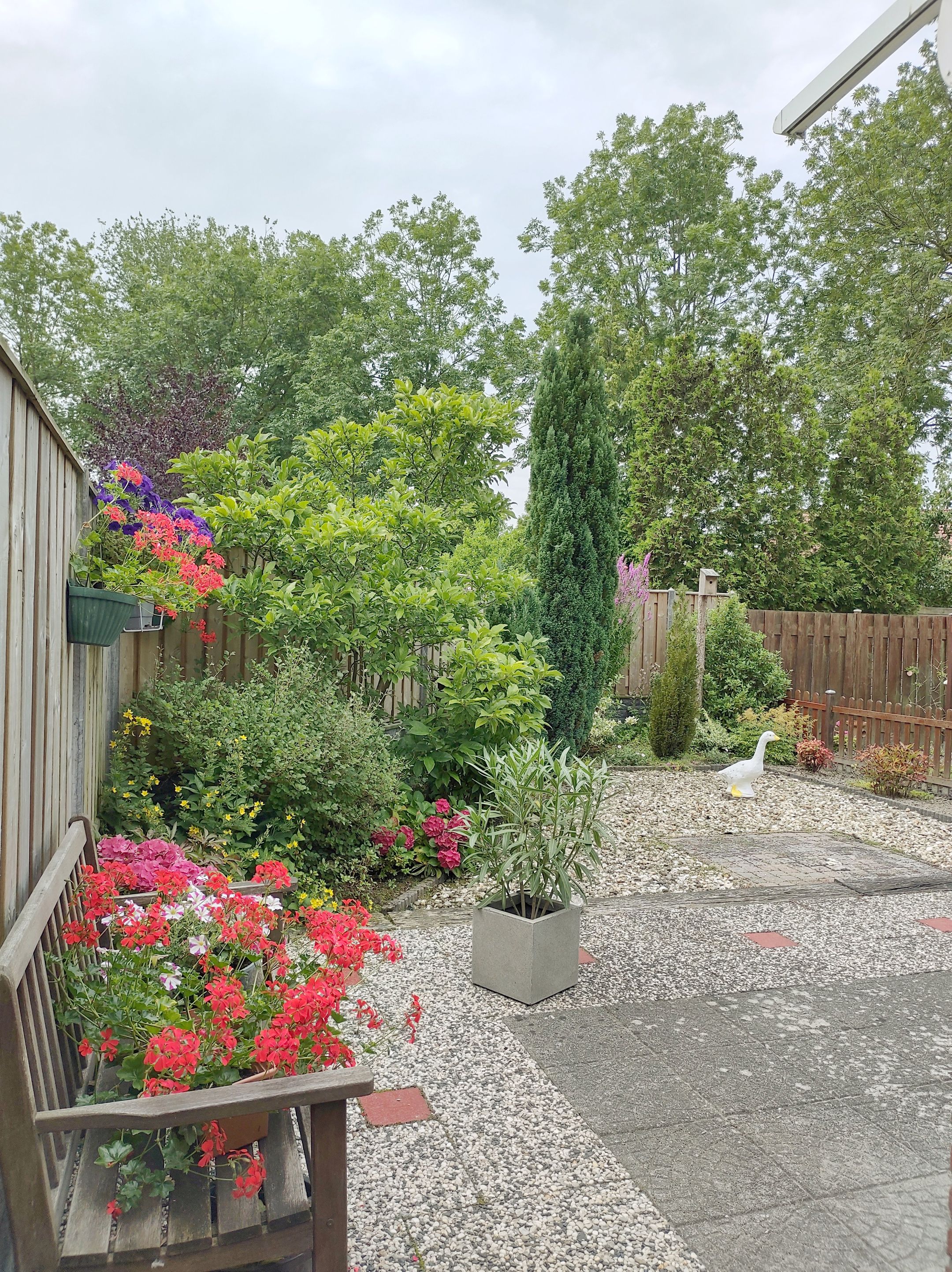 Foto 12 van Duunmede 26