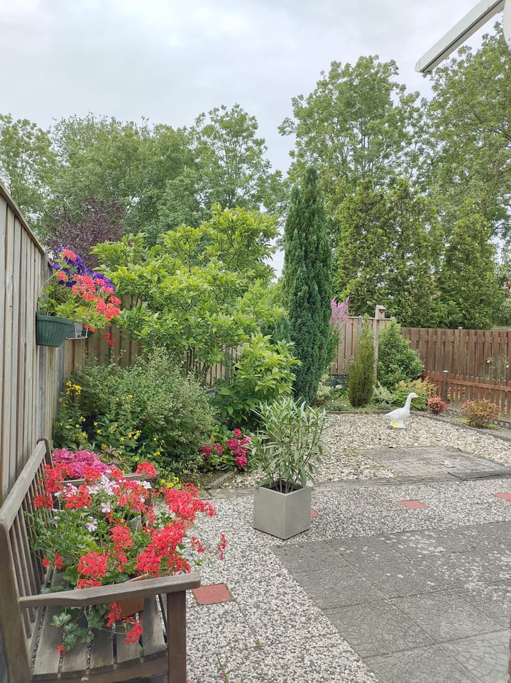 Foto 12 van Duunmede 26