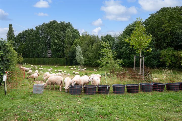 Bekijk foto 31 van Op de Hoort 45