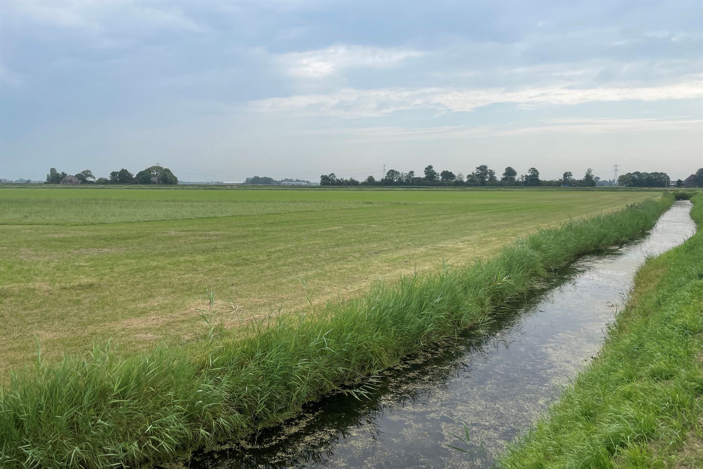 Bekijk foto 2 van Tolkerdijk