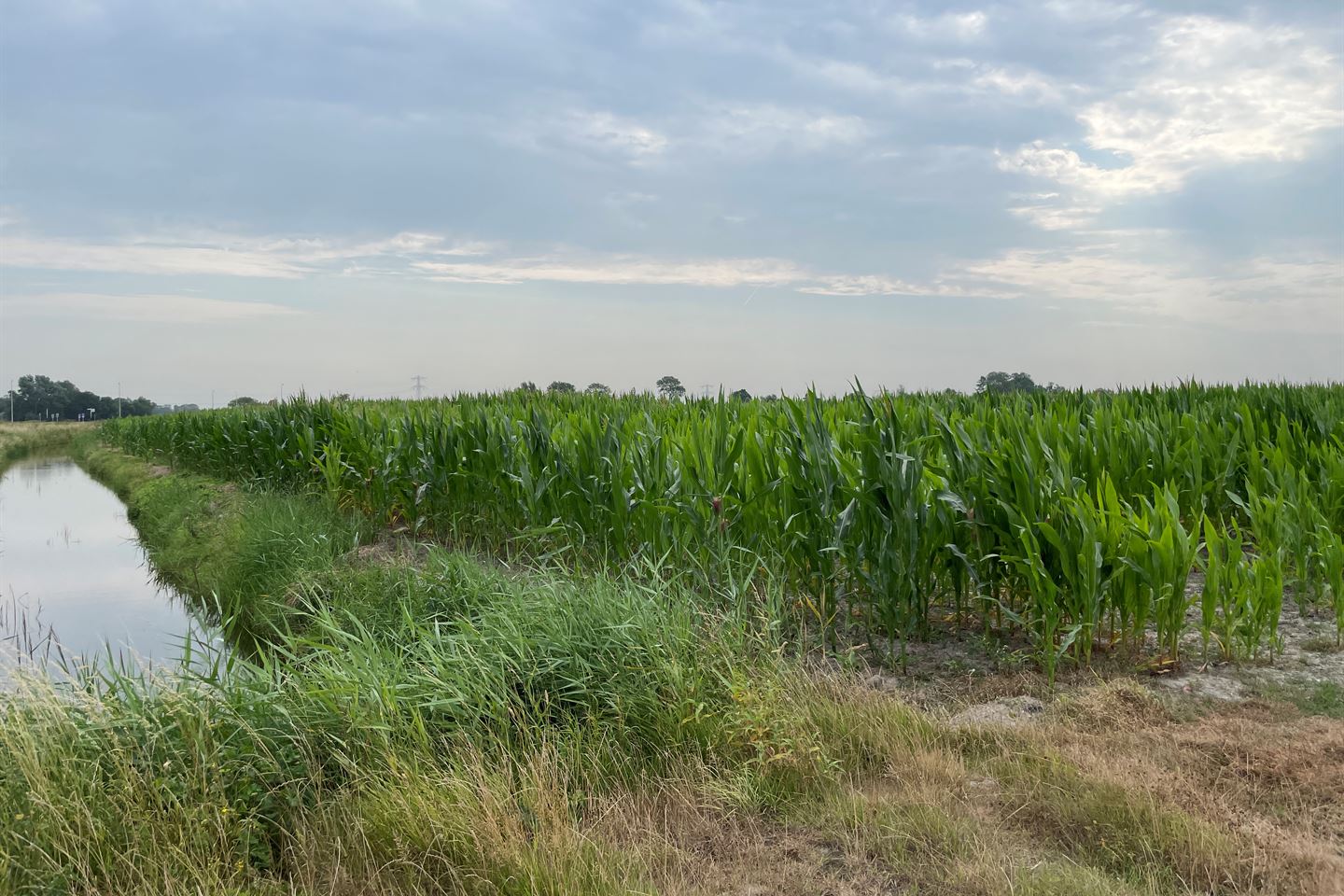 Bekijk foto 2 van Muggenburgerweg