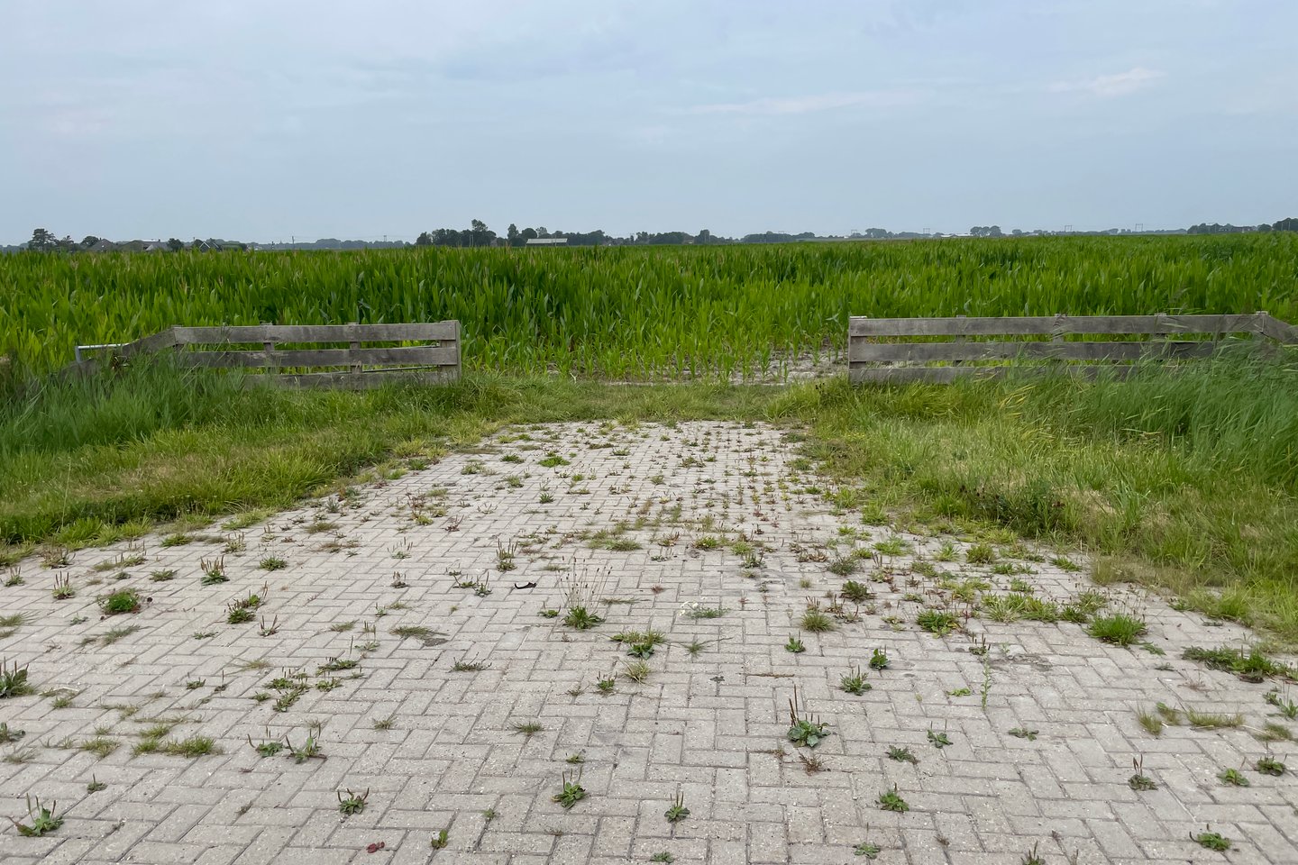 Bekijk foto 3 van Muggenburgerweg